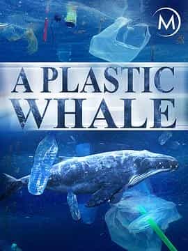 塑料鲸鱼 A Plastic Whale