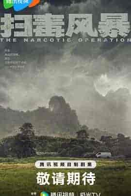 扫毒风暴