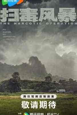 扫毒风暴
