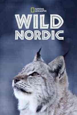 野性北欧 第一季 Wild Nordic Season 1