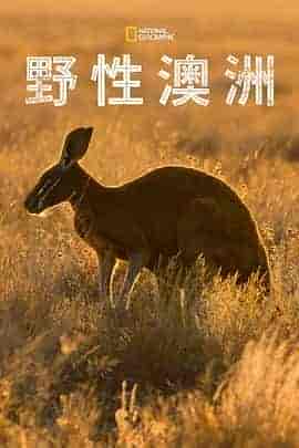 野性澳大利亚 Wild Australia
