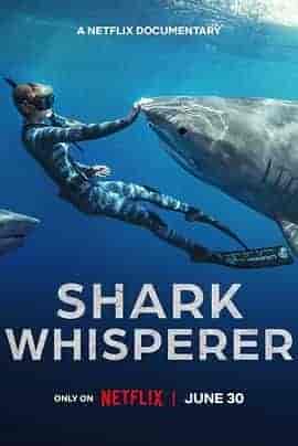 鲨语者 Shark Whisperer