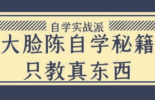 大脸陈自学秘籍只教真东西 【2.2GB】