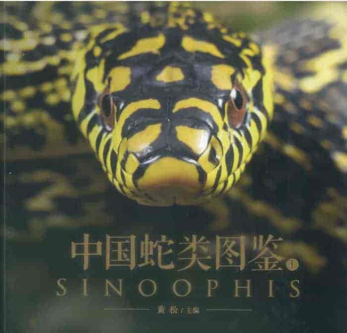 中国蛇类图鉴上下册  PDF   2.1G