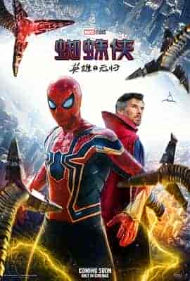 蜘蛛侠:英雄无归 Spider-Man: No Way Home 蜘蛛侠:英雄无归 Spider-Man: No Way Home