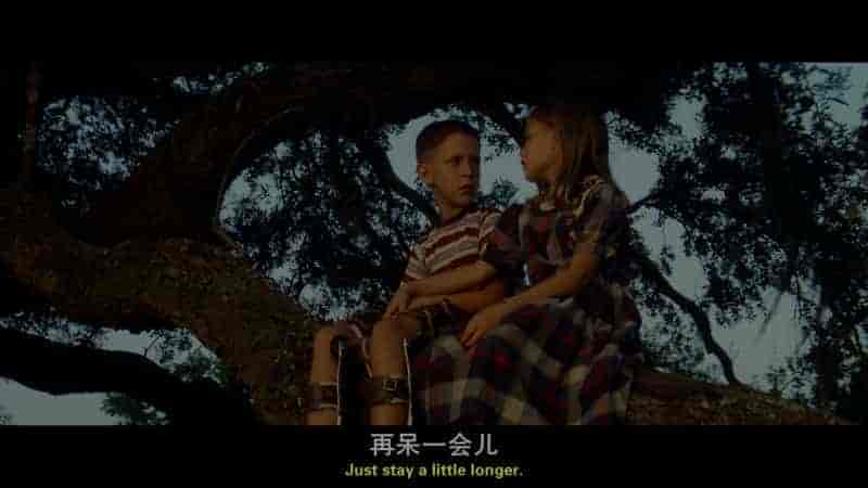 阿甘正传(1994)未切边版 4K UHD DV兼容HDR10 国英双语音轨 内封中英特效字幕 37.51G