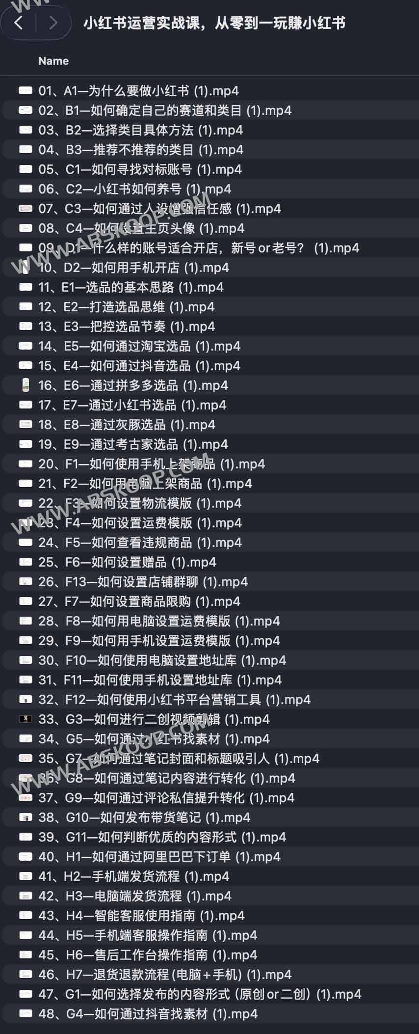 小红书运营实战课,从零到一玩賺小红书 1 小红书运营实战课,从零到一玩賺小红书